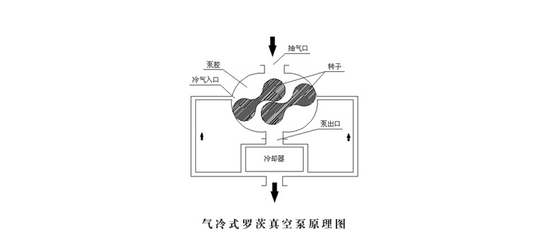 未标题-3.jpg 未标题-3.jpg